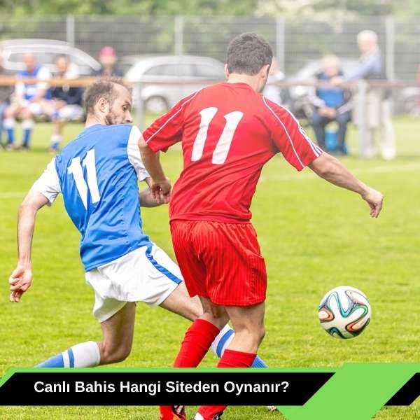Canlı Bahis Hangi Siteden Oynanır